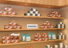 amadal-emirati-district-at-dxb