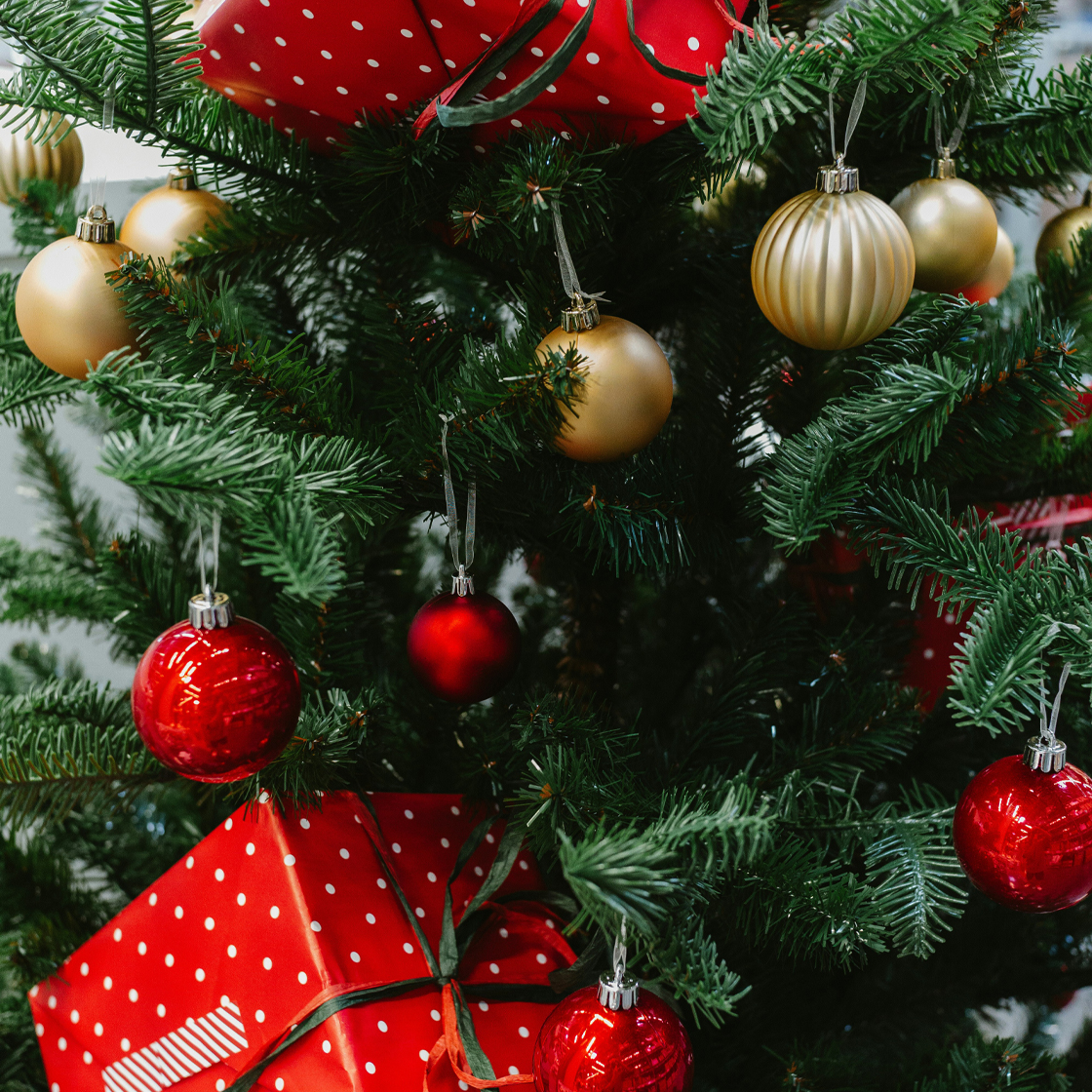 Creating memories together